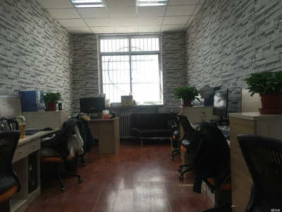 思拓网络科技 专业销售与技术咨询服务的全方位解决方案