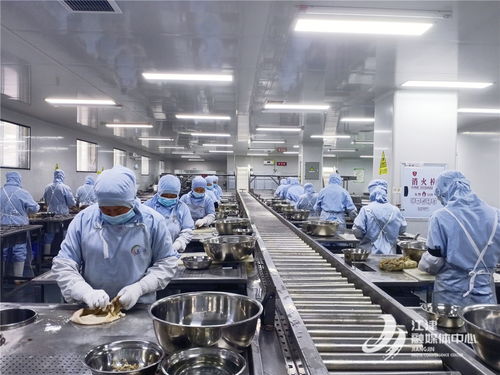 奏响高质量发展三部曲，白沙工业园唱响食品及农产品加工最强音